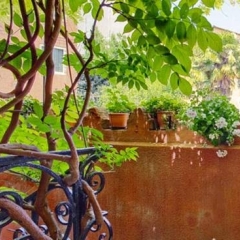 Отель Locanda Fiorita Италия, Венеция - отзывы, цены и фото номеров - забронировать отель Locanda Fiorita онлайн