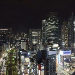 Dai-ichi Hotel Tokyo фото 6