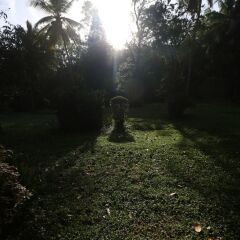 Отель Plantation Villa Ayurveda Yoga Resort