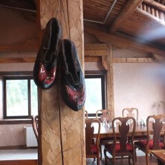 Zifin Hotel с домашними животными