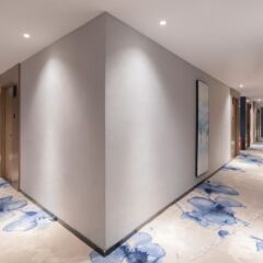 LiQun Light hotel Шэньчжэнь интерьер отеля