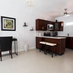 Отель Kingston Luxury Guest Apt at Sullivan в номере фото 2