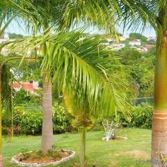 Отель Emerald View Resort Villa фото 3