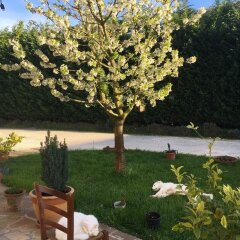 Отель Agriturismo Corte Del Brenta Италия, Лимена - отзывы, цены и фото номеров - забронировать отель Agriturismo Corte Del Brenta онлайн фото 8