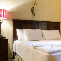Paraiso Rainforest and Beach Hotel комната для гостей фото 2