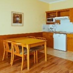 Отель Holiday Club Apartman Hotel Венгрия, Хевиз - отзывы, цены и фото номеров - забронировать отель Holiday Club Apartman Hotel онлайн фото 3