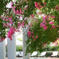 Melia Cala Dor Boutique Hotel фото 9