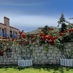 Windmill Alacati Boutique Hotel Турция, Чешме - отзывы, цены и фото номеров - забронировать отель Windmill Alacati Boutique Hotel онлайн помещение для мероприятий