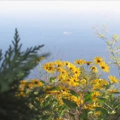 Отель Agriturismo Mare e Monti Аджерола фото 9