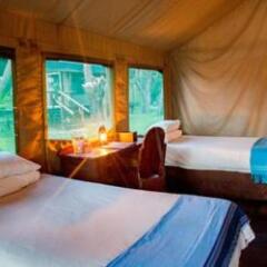 Xaro Lodge in Okavango Delta, Botswana from 438$, photos, reviews - zenhotels.com guestroom photo 3