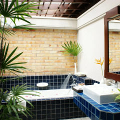 Отель Botany Beach Resort ванная