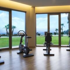 Dedeman Park Hotel Antalya Турция, Анталья - отзывы, цены и фото номеров - забронировать отель Dedeman Park Hotel Antalya онлайн фитнесс-зал