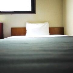 Business Hotel Ohishi Исахая комната для гостей