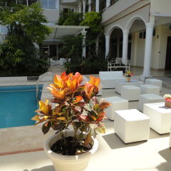 Hotel Villa Las Margaritas Sucursal Caxa