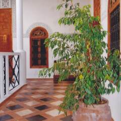 Отель Riad Dar Soufa Марокко, Рабат - отзывы, цены и фото номеров - забронировать отель Riad Dar Soufa онлайн фото 7