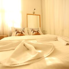 Dos Hermanos Hotel Турция, Стамбул - отзывы, цены и фото номеров - забронировать отель Dos Hermanos Hotel онлайн комната для гостей фото 3