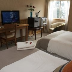 Borde Lago Hotel in Frutillar, Chile from 103$, photos, reviews - zenhotels.com room amenities