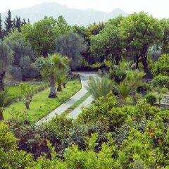 Отель Olive Farm Of Datca Guesthouse - Adults Only Датча
