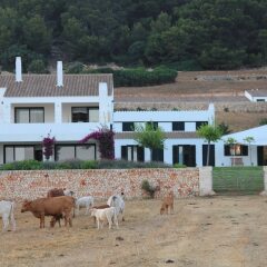 Отель Rusticae Agroturismo Finca Atalis Испания, Эс-Мигхорн-Гран - отзывы, цены и фото номеров - забронировать отель Rusticae Agroturismo Finca Atalis онлайн фото 6