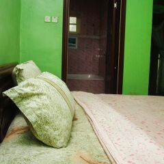 Отель Abanet Hotel & Suites Нигерия, Икея - отзывы, цены и фото номеров - забронировать отель Abanet Hotel & Suites онлайн фото 2