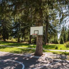 Отель Mountain Lake Hotel Болгария, Чепеларе - отзывы, цены и фото номеров - забронировать отель Mountain Lake Hotel онлайн спортивное сооружение