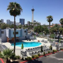 Отель Thunderbird Hotel США, Лас-Вегас - отзывы, цены и фото номеров - забронировать отель Thunderbird Hotel онлайн бассейн фото 2