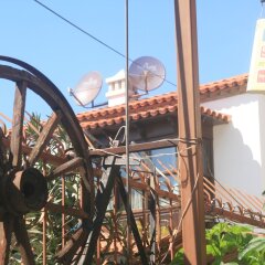 Anz Guest House Турция, Сельчук - отзывы, цены и фото номеров - забронировать отель Anz Guest House онлайн фото 12