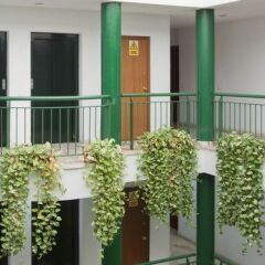 Отель Apartamentos Vértice Bib Rambla Испания, Севилья - отзывы, цены и фото номеров - забронировать отель Apartamentos Vértice Bib Rambla онлайн фото 3