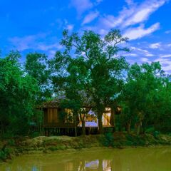 Отель Yala Safari Camping фото 4