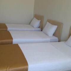 Butik Ertur Hotel комната для гостей фото 3