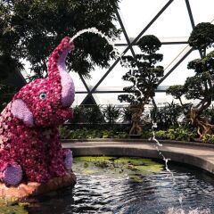 Отель Crowne Plaza Changi Airport Сингапур фото 10