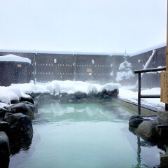 Отель Hakuba Ryujin Onsen Хакуба бассейн