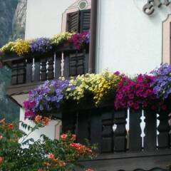Hotel Stella Alpina Фай-делла-Паганелла фото 2
