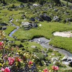Отель Nendaz 4 Vallées & SPA Нендаз приотельная территория фото 2