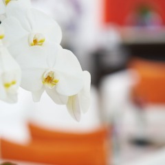 Отель Dusit Suites Hotel Ratchadamri, Bangkok Таиланд, Бангкок - 1 отзыв об отеле, цены и фото номеров - забронировать отель Dusit Suites Hotel Ratchadamri, Bangkok онлайн гостиничный бар
