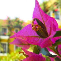 Meldi Hotel фото 4