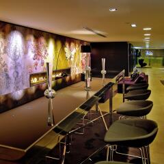 Отель Sofitel Lyon Bellecour развлечения