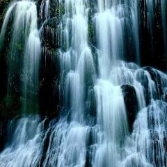 Отель Lemonthyme Wilderness Retreat бассейн фото 2