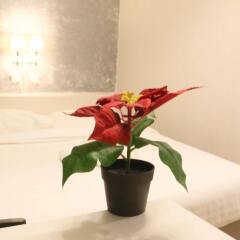 Отель Fulllax Guesthouse в номере