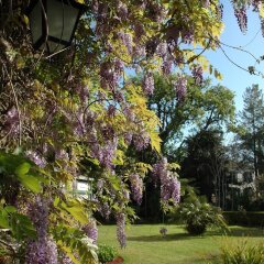 Отель Quinta da Bela Vista Португалия, Фуншал - отзывы, цены и фото номеров - забронировать отель Quinta da Bela Vista онлайн фото 15