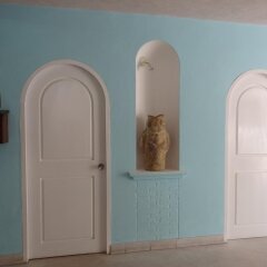 Emperador Hotel & Suites Пуэрто-Вальярта удобства в номере