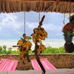 Отель Blue Reef Sport and Fishing Lodge & Bungalows фитнесс-зал фото 3