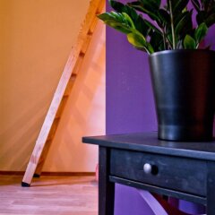 Отель Centralapartments Австрия, Вена - отзывы, цены и фото номеров - забронировать отель Centralapartments онлайн удобства в номере фото 2