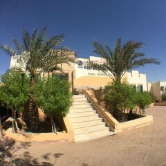 Отель Red Sea Dive Center