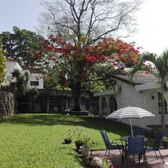 Отель Casa Colonial Bed And Breakfast Гондурас, Сан-Педро-Сула - отзывы, цены и фото номеров - забронировать отель Casa Colonial Bed And Breakfast онлайн фото 9