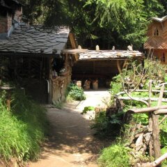 Отель Family Hotel Smolena Болгария, Чепеларе - отзывы, цены и фото номеров - забронировать отель Family Hotel Smolena онлайн фото 31
