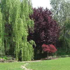 Отель B&B Il Vigneto Италия, Манерба-дель-Гарда - отзывы, цены и фото номеров - забронировать отель B&B Il Vigneto онлайн
