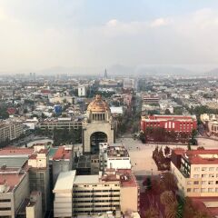 Отель Plaza Suites Mexico City Hotel Мексика, Мехико - отзывы, цены и фото номеров - забронировать отель Plaza Suites Mexico City Hotel онлайн фото 3