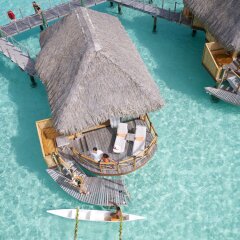 Отель Bora Bora Pearl Beach Resort and Spa с домашними животными