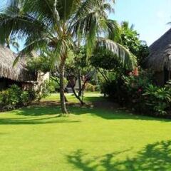 Отель Hilton Moorea Lagoon Resort and Spa Французская Полинезия, Муреа - отзывы, цены и фото номеров - забронировать отель Hilton Moorea Lagoon Resort and Spa онлайн фото 5